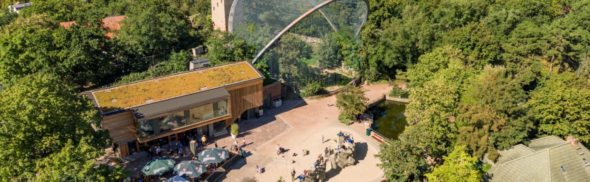 Mountain Zoo